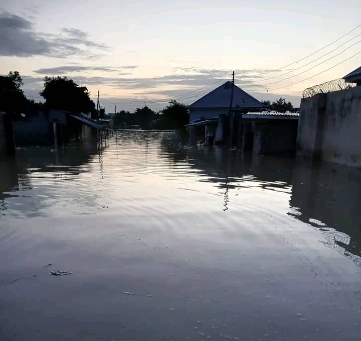 Flood Takes Over Shehu Of Borno’s Palace, Displaces Residents