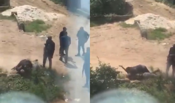 Imo Police Command Arrest Officers Caught On Tape Confronting Man (video)