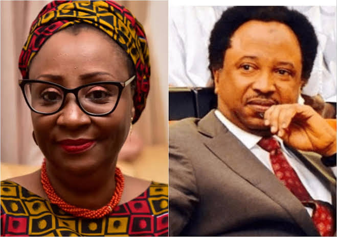 What Sen Shehu Sani says after former Kaduna first lady, Hadiza El-Rufai, corrected his English on X