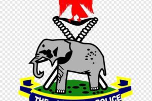 Sit-At-Home: Police Reacts To Viral Video Of Burning Vehicles In Okigwe, Old