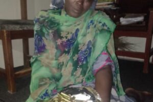 How 54-year-old female gunrunner was arrested with 350 rounds of ammunition in Yobe