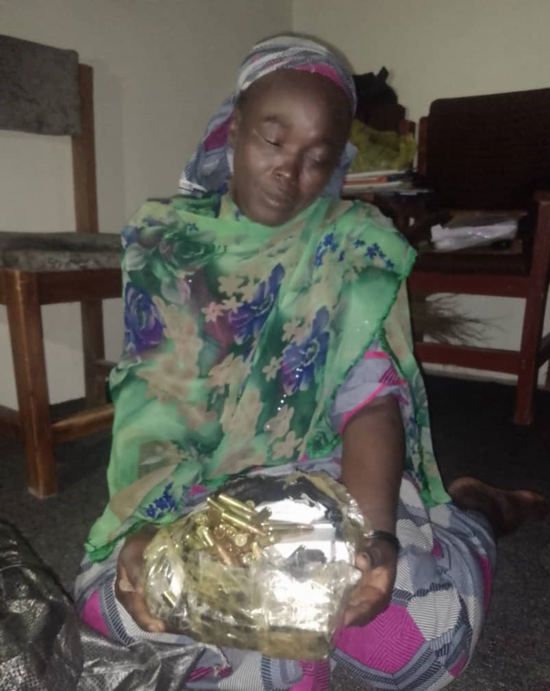 How 54-year-old female gunrunner was arrested with 350 rounds of ammunition in Yobe