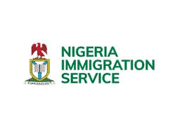 Immigration Plans Digital Passport Renewal For Nigerians Abroad