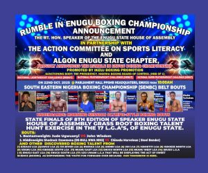 2025 Enugu state boxing rumble ended in praise